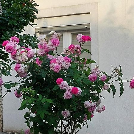 Apartments F Подгорица Экстерьер фото