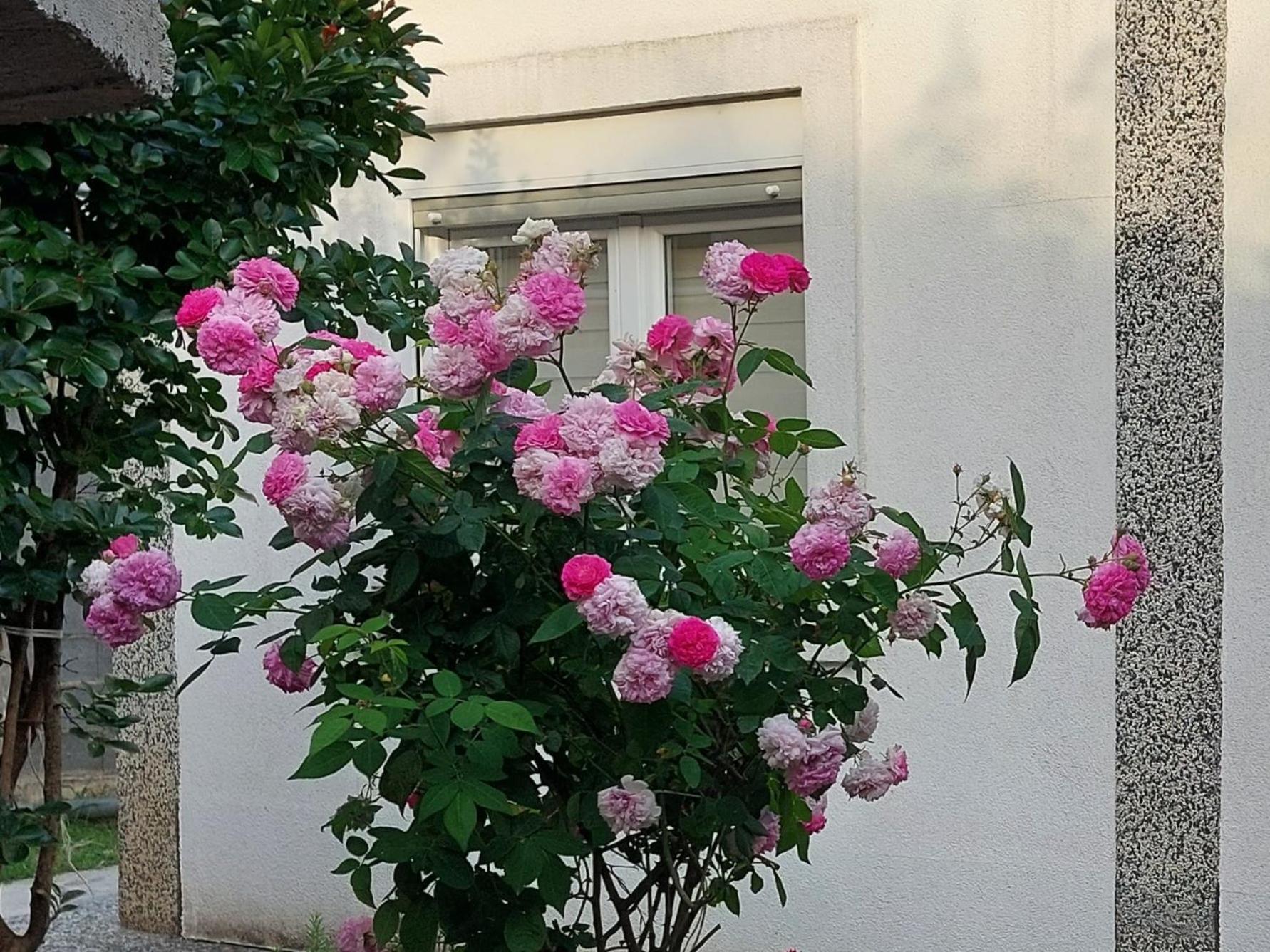 Apartments F Подгорица Экстерьер фото